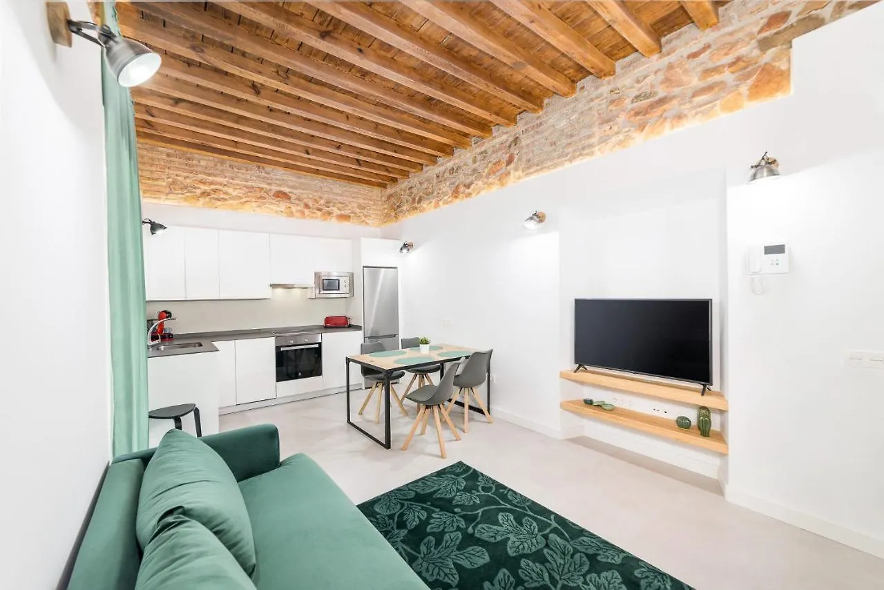 Apartment Suite Homes Sweet Postigos Terrace Malaga Spain
